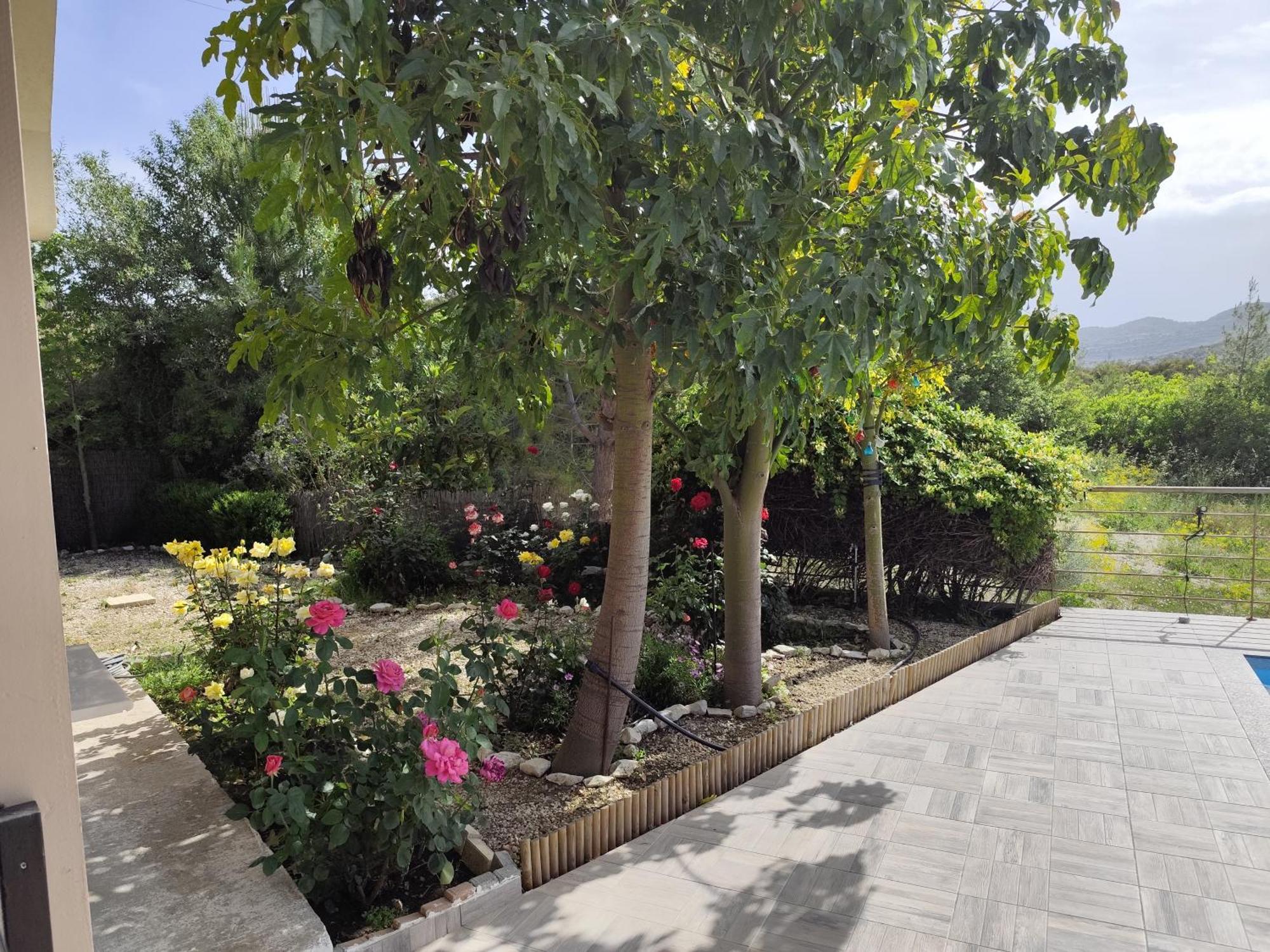 Roses Villa Trimiklini Экстерьер фото