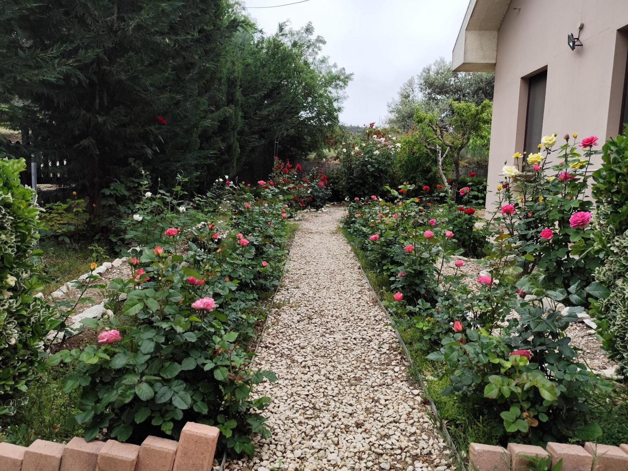 Roses Villa Trimiklini Экстерьер фото