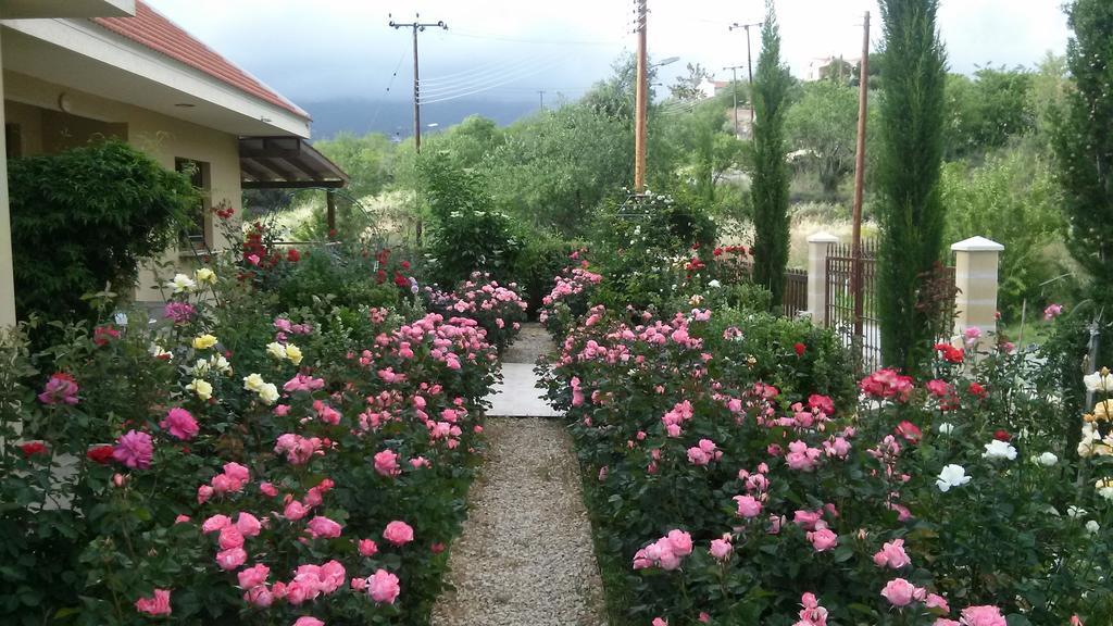 Roses Villa Trimiklini Экстерьер фото